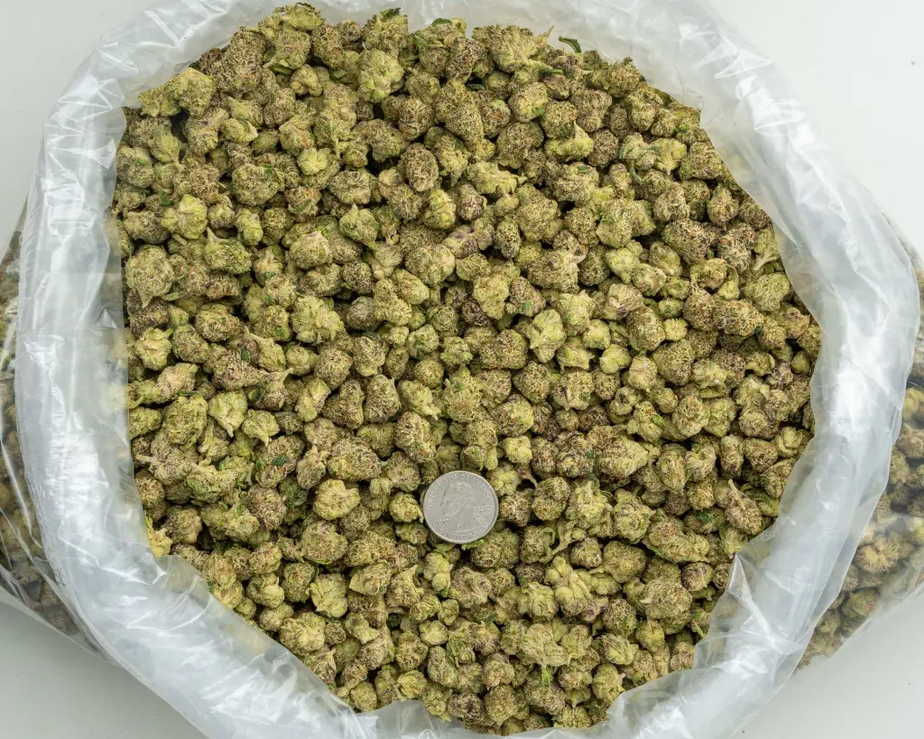 Gummiez Indoor Smalls -BAG- 081525.webp