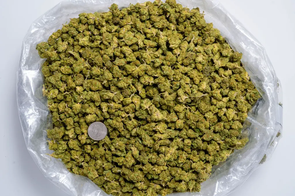 Tuscan Gelato Smalls-BAG- 8-20-25.webp