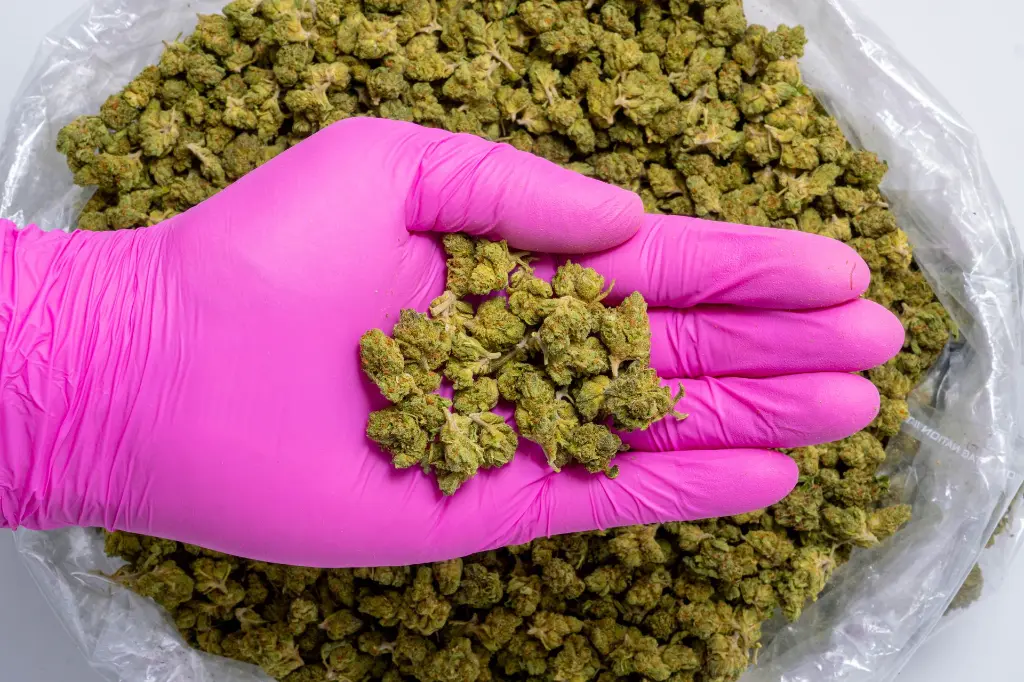 Tuscan Gelato Smalls-PINK- 8-20-25.webp
