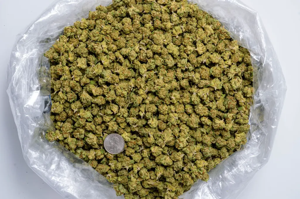 Sweet Tea Smalls-BAG- 8-20-25.webp