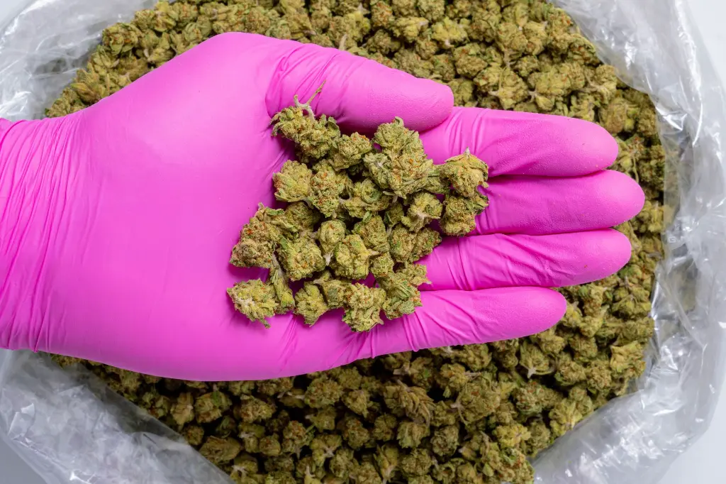 Sweet Tea Smalls-PINK- 8-20-25.webp