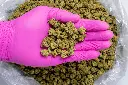 Sweet Tea Smalls-PINK- 8-20-25.webp