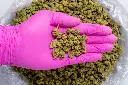Sweet Island Skunk Smalls-PINK- 8-20-25.webp