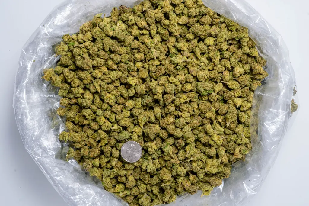Girl Scout Cookies Smalls-BAG- 8-20-25.webp