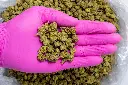 Girl Scout Cookies Smalls-PINK- 8-20-25.webp