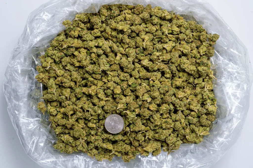 Green Crack Smalls-BAG- 8-20-25.webp