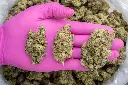 LA Pop Rocks Indoor -PINK- 072825 20250725FVLAP.webp