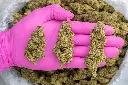 Sour Kush Breath -PINK- 081825 20250818MKSKB.webp
