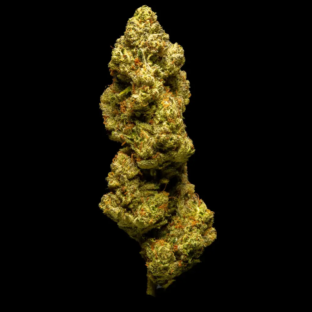 Sour Kush Breath -FLOAT- 081825 20250818MKSKB.webp