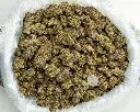 Pluto -BAG- 082125 20250820ISIIC.webp