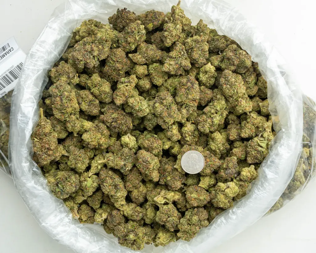 Caramellow Kush -BAG- 082125 20250820ISPNC.webp