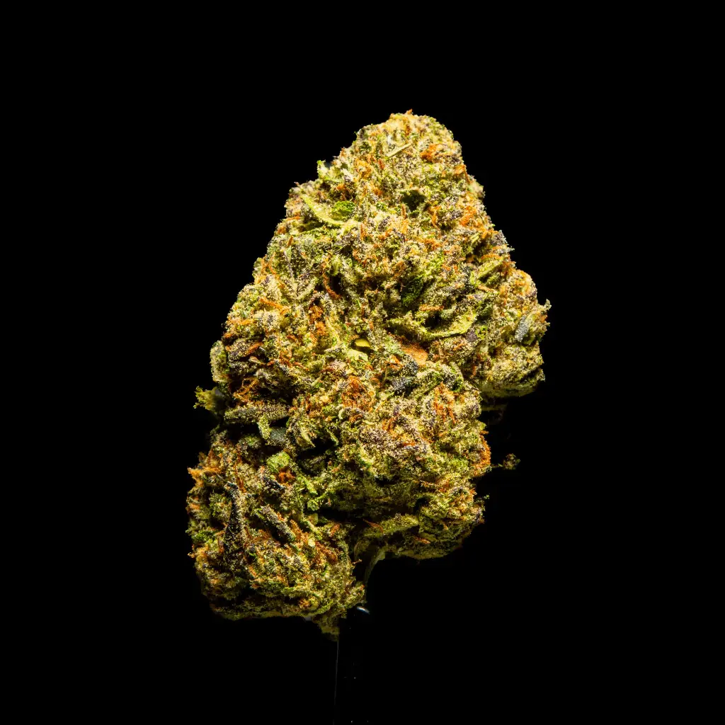 Caramellow Kush -FLOAT- 082125 20250820ISPNC.webp