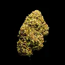 Caramellow Kush -FLOAT- 082125 20250820ISPNC.webp