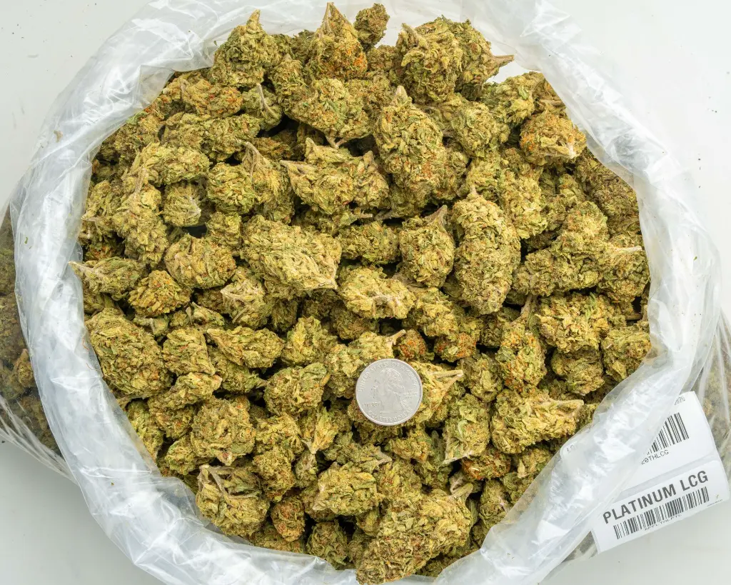 Platinum LCG -BAG- 082025 20250820THLCG.webp