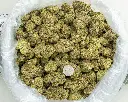 Zahiti Lime -BAG- 081825 20250818MKZTL.webp