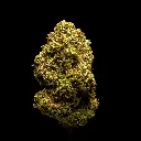 Zahiti Lime -FLOAT- 081825 20250818MKZTL.webp