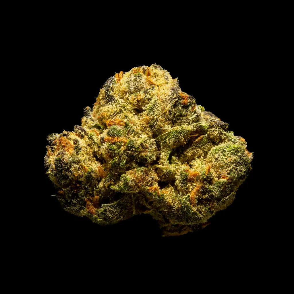 Oreoz Indoor Smalls -FLOAT- 082025 20250818ACBAS.webp