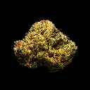 Oreoz Indoor Smalls -FLOAT- 082025 20250818ACBAS.webp