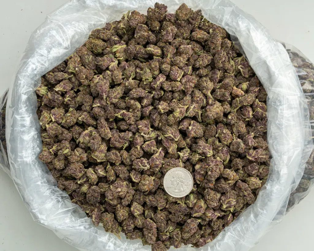 Tropicana Cherry Smalls -BAG- 073125 20250731CPTCS.webp