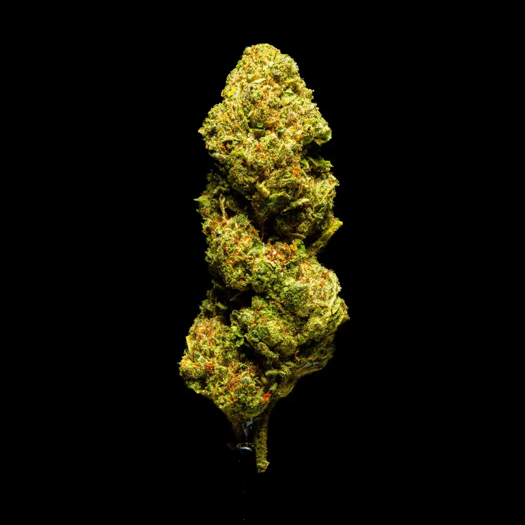 Karamel Candy -FLOAT- 082125 20250820MTKMC.webp