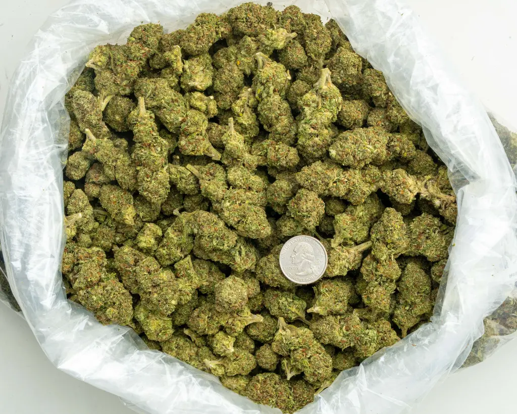 Karamel Candy -BAG- 082125 20250820MTKMC.webp