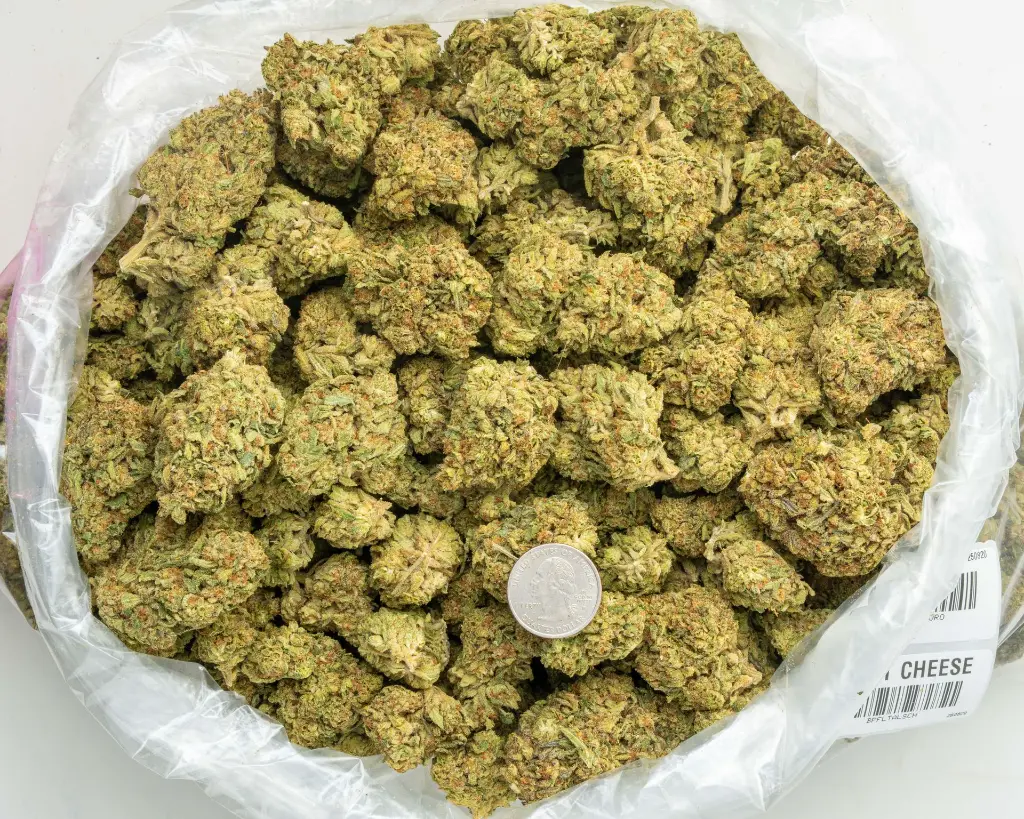 Sweet Cheese -BAG- 082025 20250820THORO.webp
