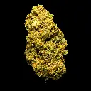 Sweet Cheese -FLOAT- 082025 20250820THORO.webp