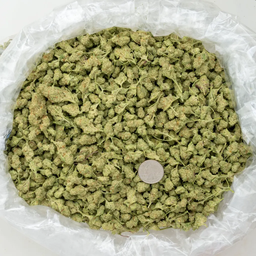 Dante's Inferno Indoor Smalls -BAG- 062625 20250625MHMAS.webp