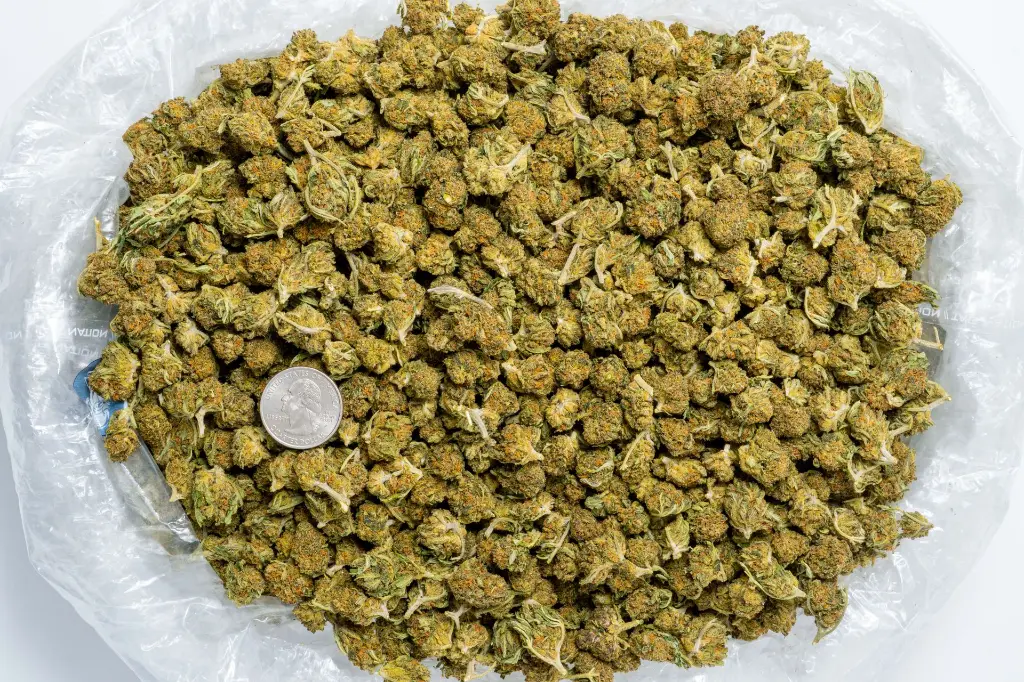 Berry Pie Sm CBD-Bag 8-28-25.webp