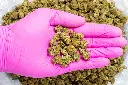 Berry Pie Sm CBD-Pink 8-28-25.webp
