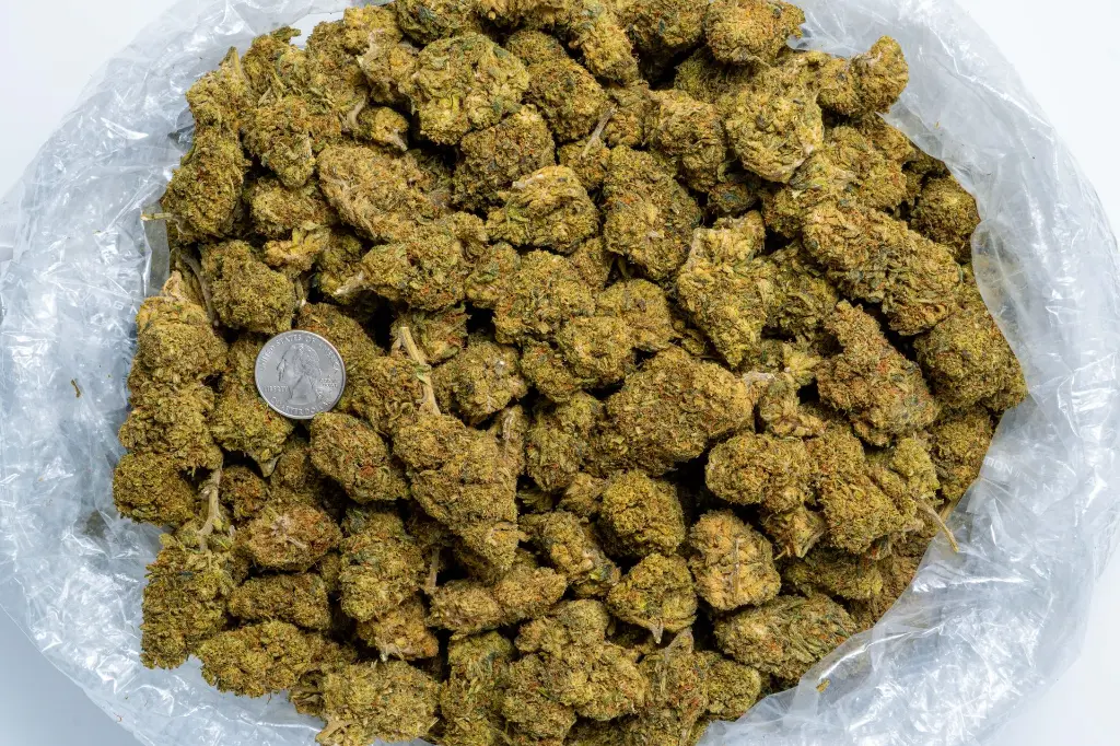 Elektra CBD-Bag 8-28-25.webp