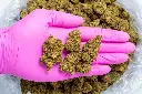 Elektra CBD-Pink 8-28-25.webp