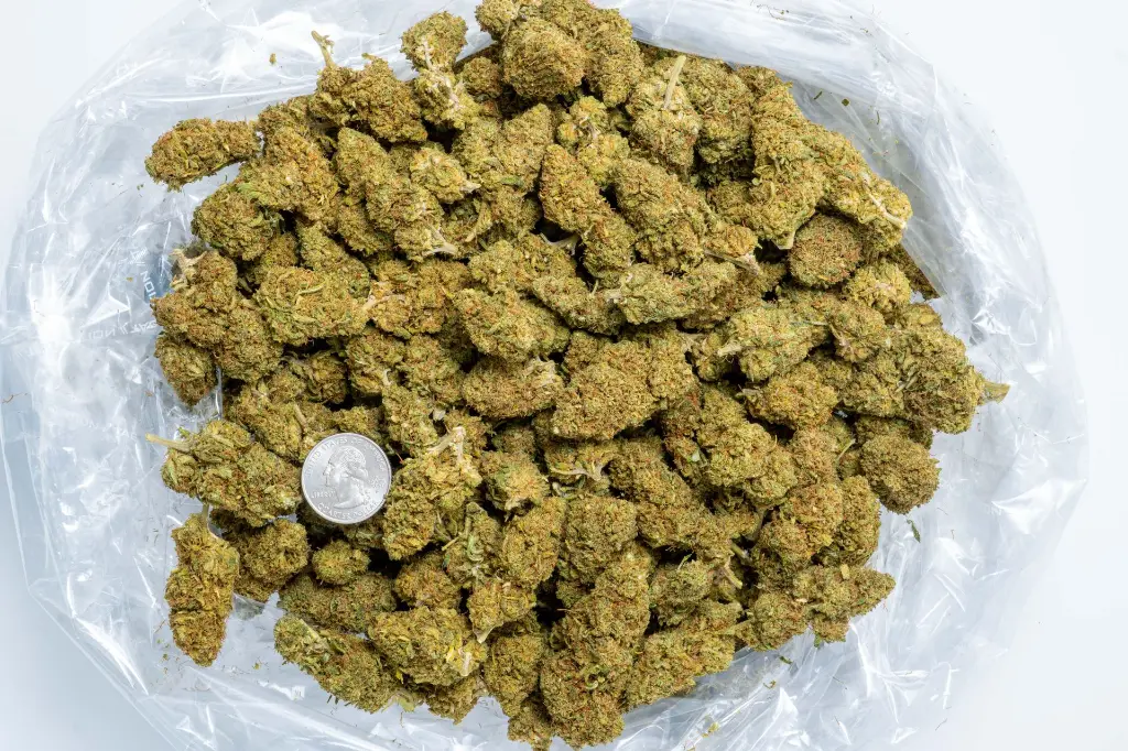 Lifter CBD-Bag 8-28-25.webp