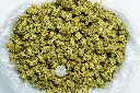 Bubba 59 Sm CBD-Bag 8-28-25.webp