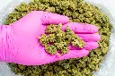 Bubba 59 Sm CBD-Pink 8-28-25.webp