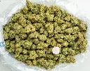Future Haze Indoor -BAG- 082725 20250813SAFHZ.webp