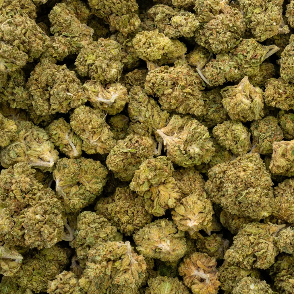 Bohemian Soap -NUG- 061625.webp