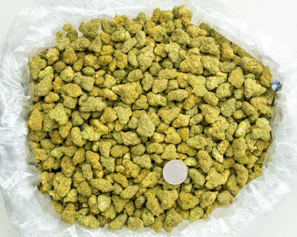 Falcon 9 OG Indoor Smalls -BAG- 082725 20250813SAF90.webp
