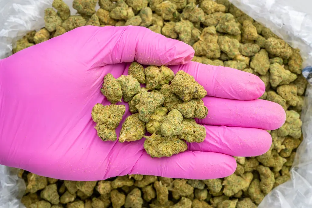 Falcon 9 OG Indoor Smalls -PINK- 082725 20250813SAF90.webp