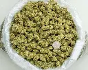 Cheetah Piss -BAG- 072125 20250718THCHP.webp