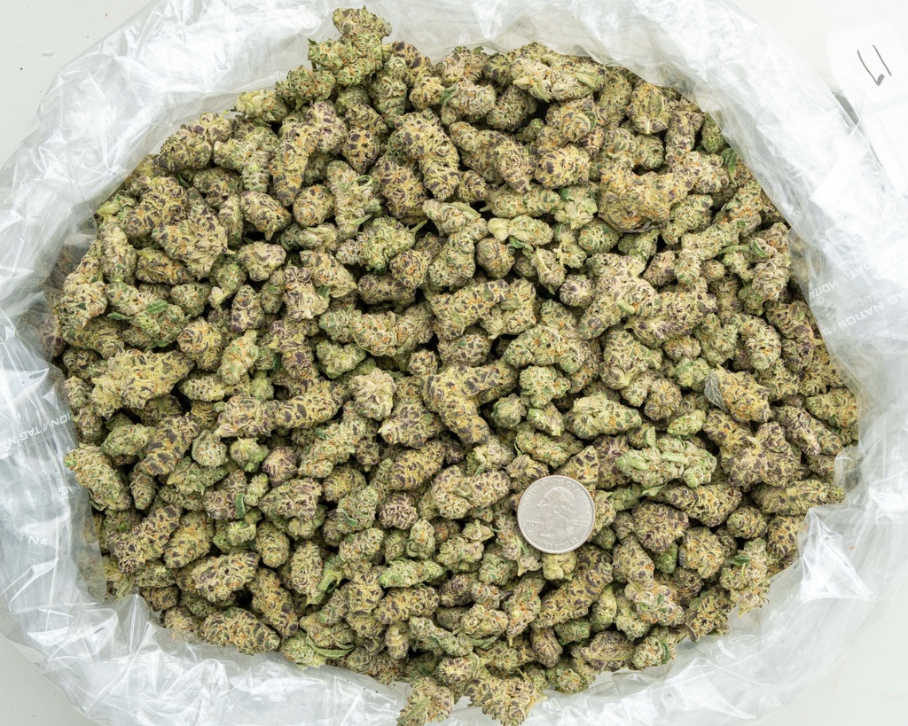 Dante's Inferno Indoor Smalls -BAG- 062625 20250625MHMAS.webp
