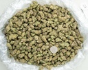 Dante's Inferno Indoor Smalls -BAG- 062625 20250625MHMAS.webp