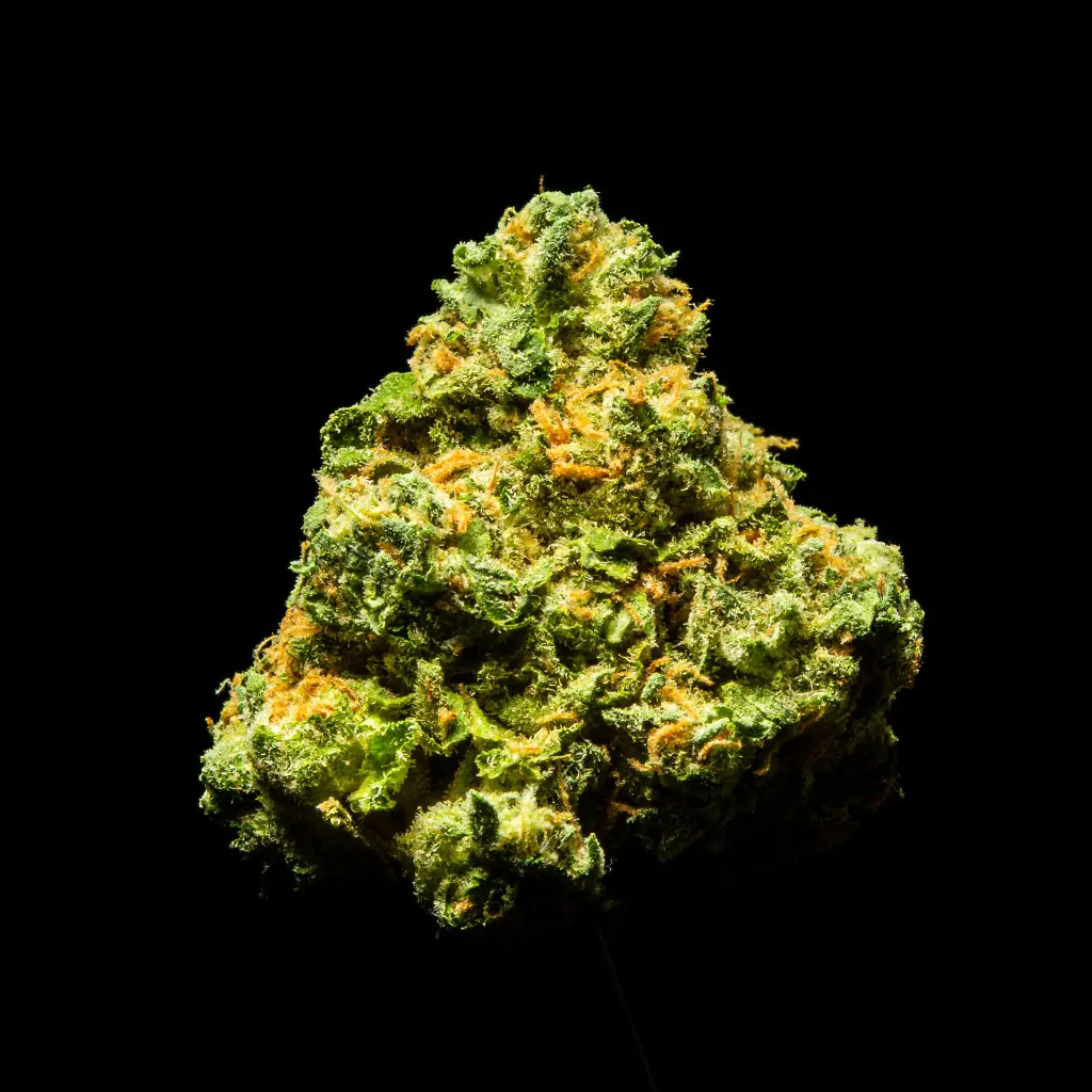 Gary Zkittles Indoor Mediums  -FLOAT- 090325.webp