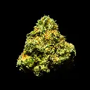 Gary Zkittles Indoor Mediums  -FLOAT- 090325.webp