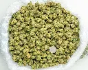 Gary Zkittles Indoor Mediums  -BAG- 090325.webp