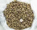 Lemon Slam Indoor Smalls -BAG- 082725 20250813SALMS.webp