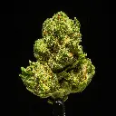 Gas Mints Indoor Smalls -FLOAT- 091125 20250911MHMCS.webp
