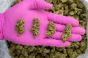Girl Scout Cookies -PINK- 072825 20250725ACG33.webp