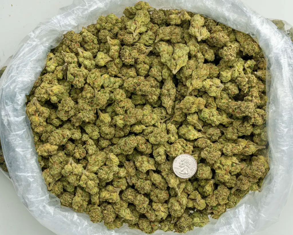 Girl Scout Cookies -BAG- 072825 20250725ACG33.webp