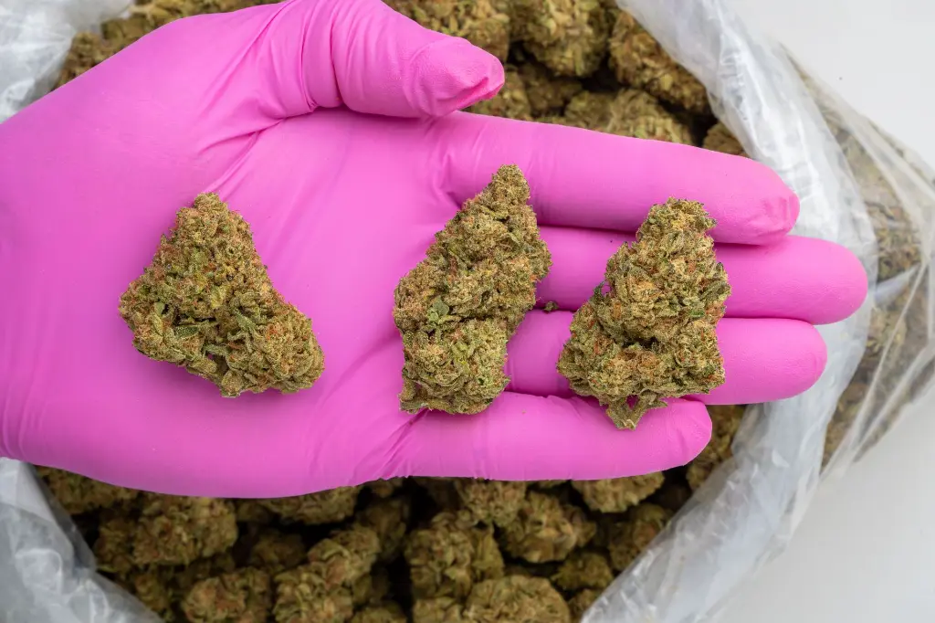 LA Kush Cake -PINK- 072125 20250718THICC.webp